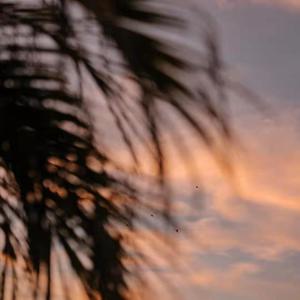 大胸美女被操高潮
