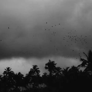 大胸美女被操高潮
